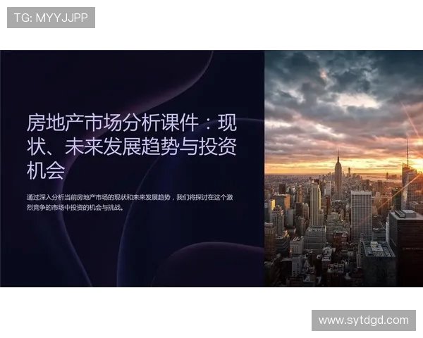 上海排球队现状分析与未来展望聚焦排球运动发展新机遇