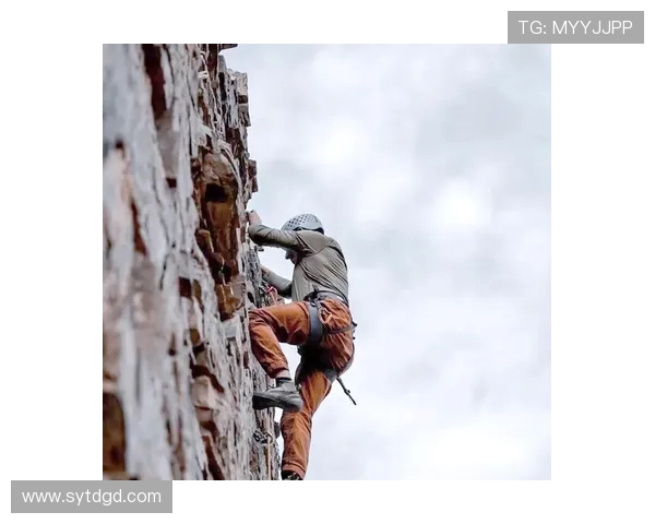 北京攀岩队节奏对比深度解析与训练策略探讨