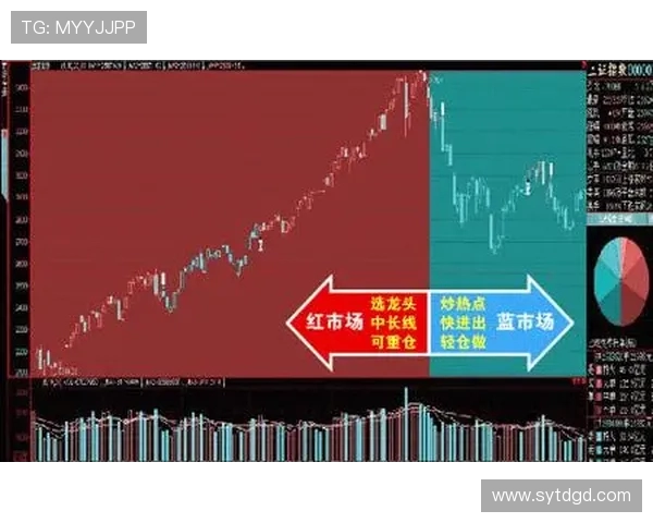北京极限运动队的进攻策略与热点趋势深度解析