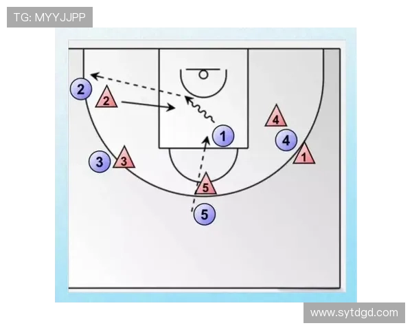 南京篮球队反击战术深度解析与实战应用探讨
