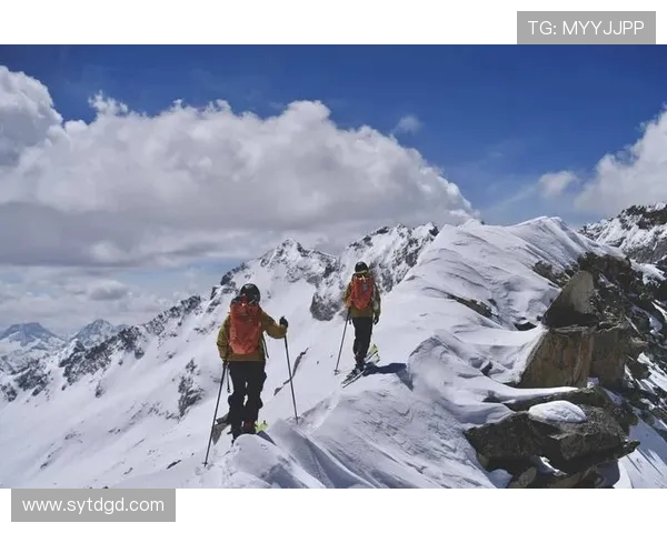 南京极限运动队的防反策略分析与成败经验总结