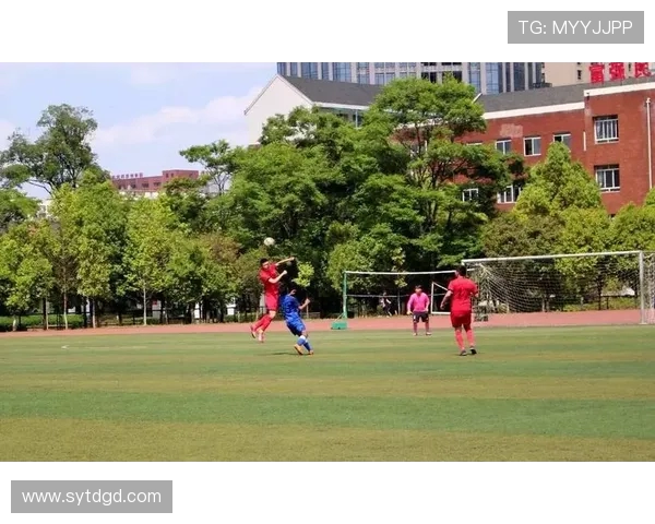 南京篮球队边路渗透战术分析与效果评估探讨