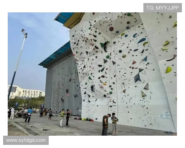 广州攀岩队的盯防策略分析与比赛表现的得失探讨