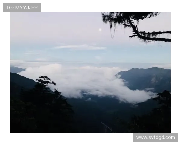 杨军分享攀岩心得与技巧助你征服高峰的秘诀与经验总结