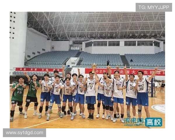 武汉排球队在排球配合排行榜中荣获第二名展现团队实力与默契