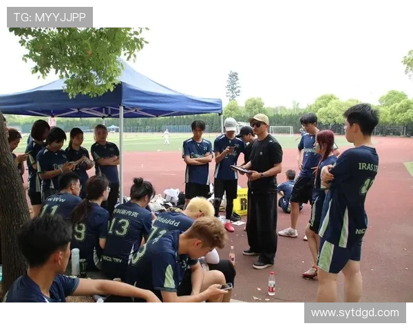 飞盘运动中的团队精神：深入探讨杭州飞盘队的协作与默契