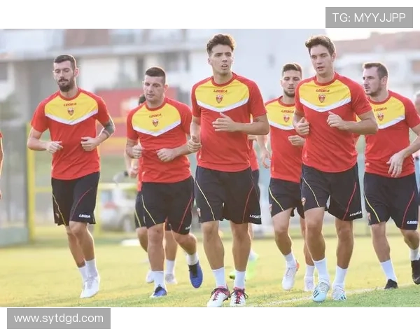 马耳他与黑山的足球对决分析及历史交锋回顾