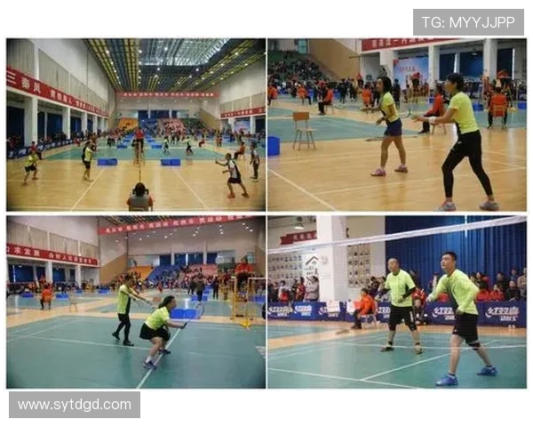 赛后分析：西安羽毛球队与深圳羽毛球队实力对比与战术探讨