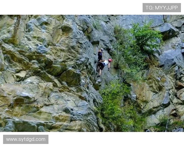 重庆极限运动队的速度挑战与技巧探索之旅