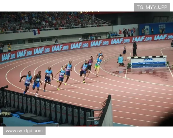 上海乒乓球队在钻石联赛中的速度表现分析与点评