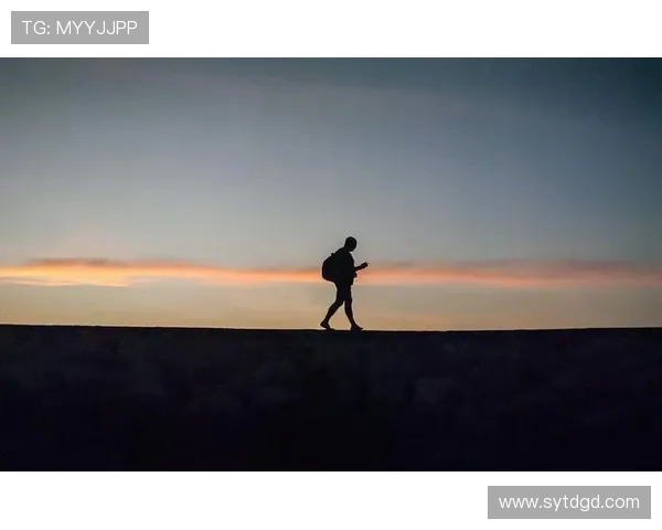 上海飞盘队速度解析：技术与战术的完美结合之路