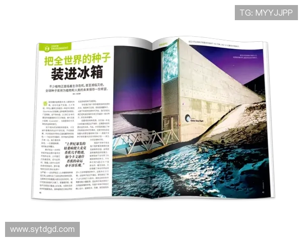 南京城市马拉松评析：极限运动队心理素质的挑战与表现探讨