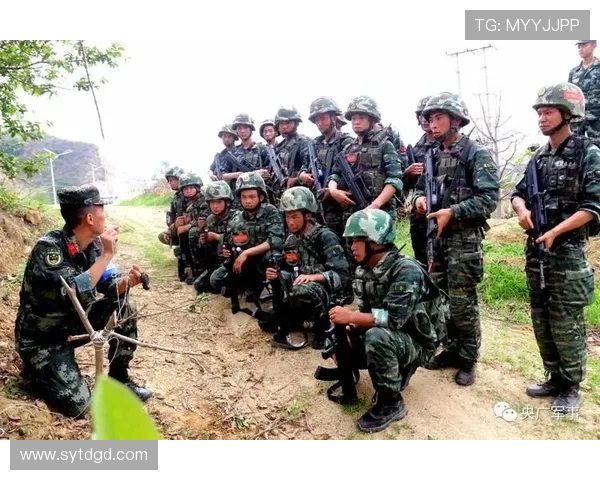 南京攀岩队中路突破战术解析与实战应用探讨