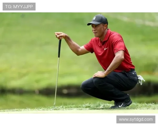 杨娜独家分享羽毛球技巧与训练心得助你提升竞技水平